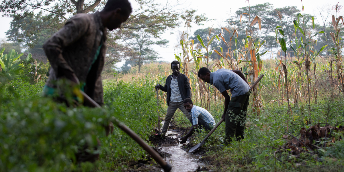The Waves of Change: Celebrating Small Scale Irrigation