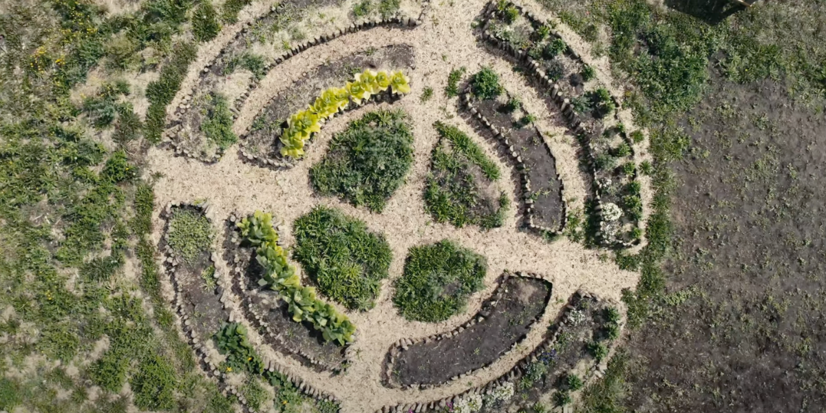 Seeing Food Forests Through Indigenous Eyes: Interview with Videographer Eric Anaquod