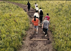 group of people walking through a forested trail