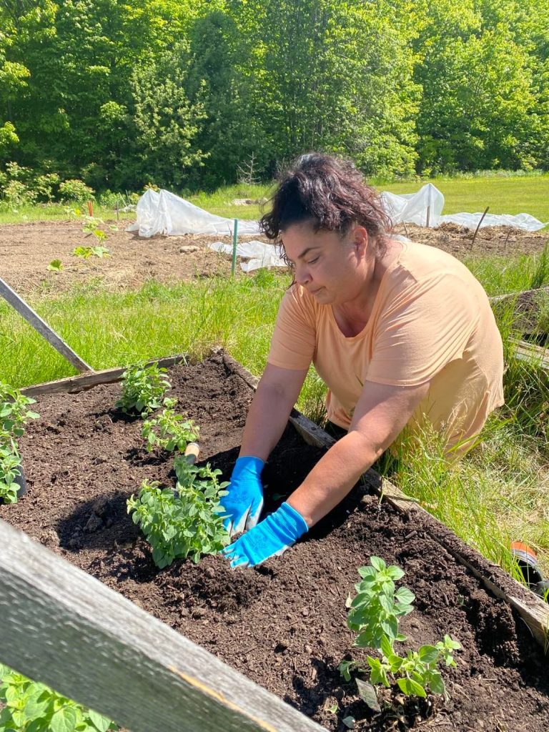 a woman is planting seedlings in a raised garden bed