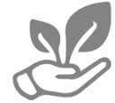 Food Forest Icon
