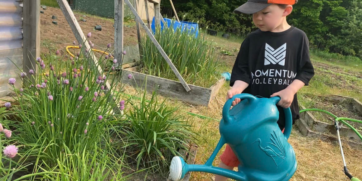 Restoring native species, reviving native knowledge
