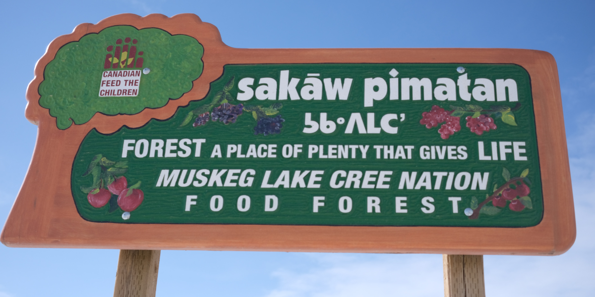 At Muskeg Lake, food security and hope is growing with every tree that’s planted