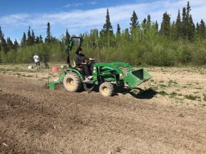 a man rides a tractor in a field