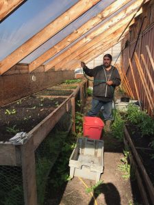 a man waters an indoor garden