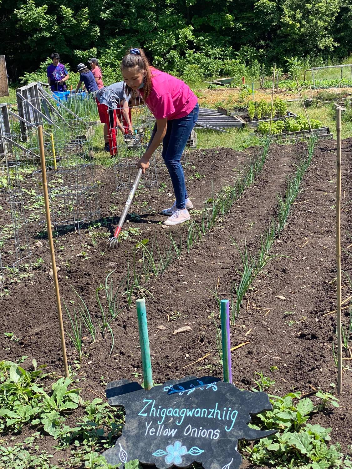 a girl digging in a garden with a sign for onions