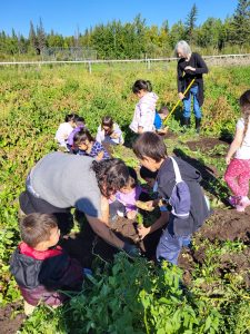 groups of children garden