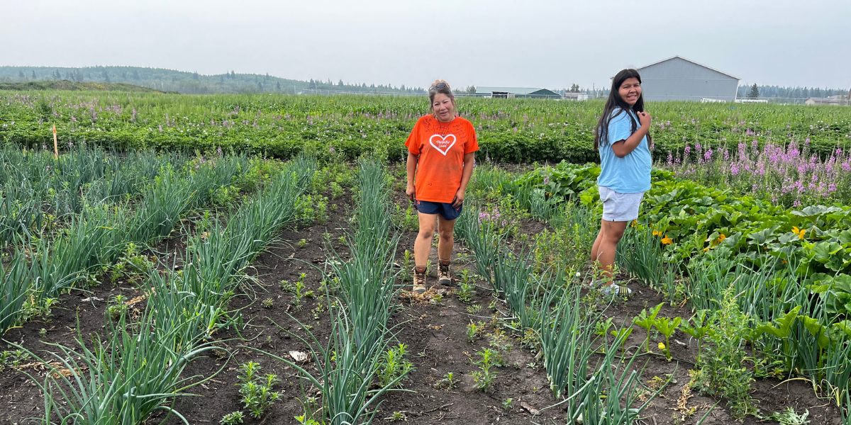 Ahtahkakoop’s Food Forest: Reviving Traditions, Building Community