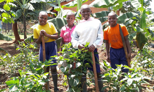 four youths in Uganda standing in a garden