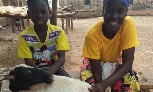 a mother and her son sit on a bench smiling with their family sheep