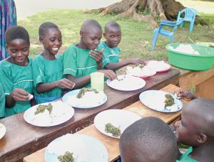 children eating lunch together at a table