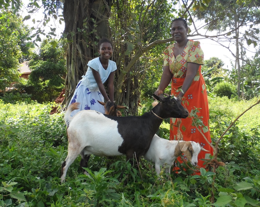 Betty and her goats