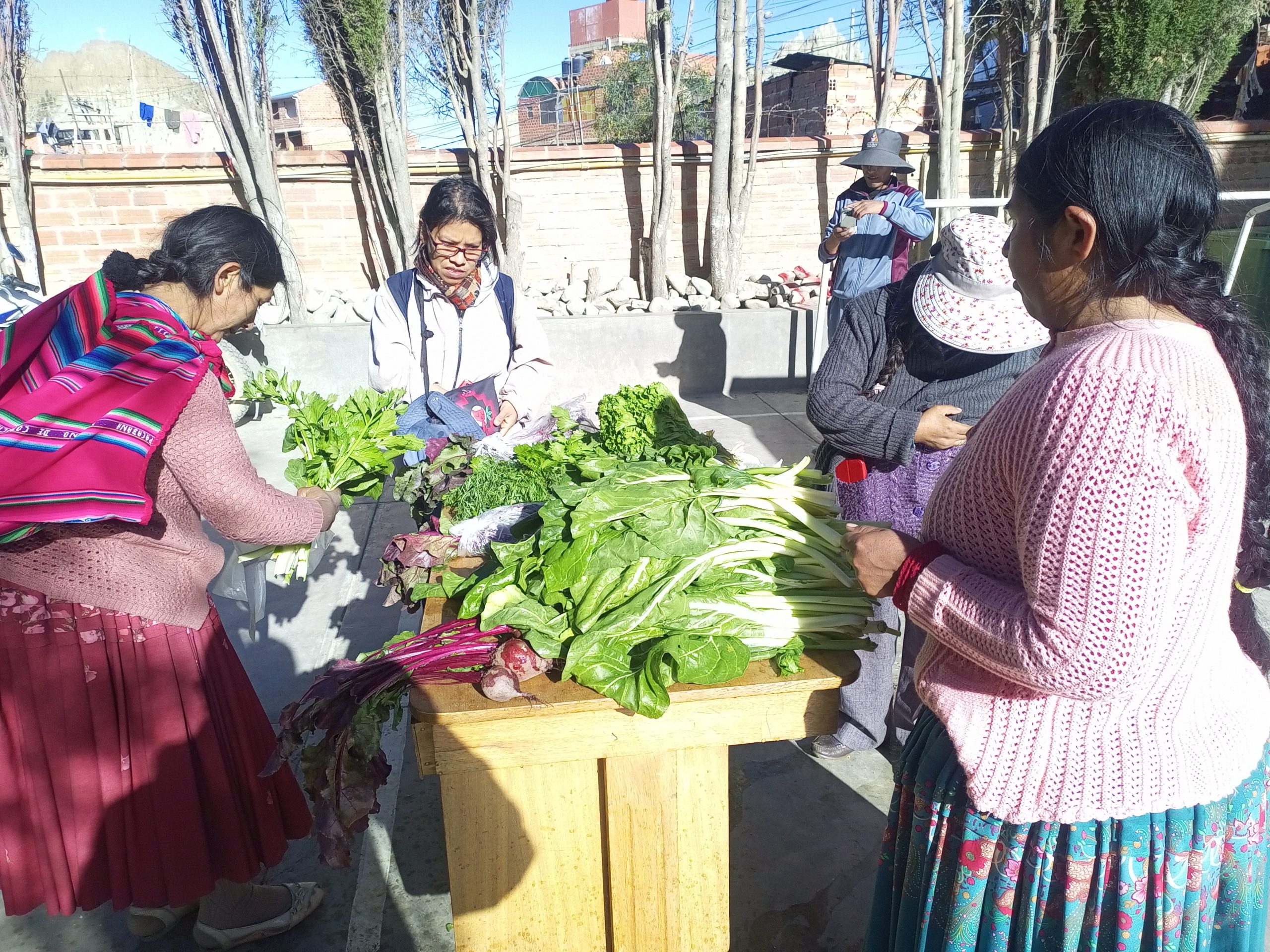 A Small Garden Fair is Growing Big Dreams in Bolivia