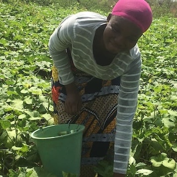Madam Ayisha on her farm in Ghana