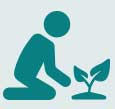 Meals Icon