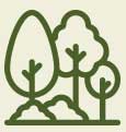 Meals Icon