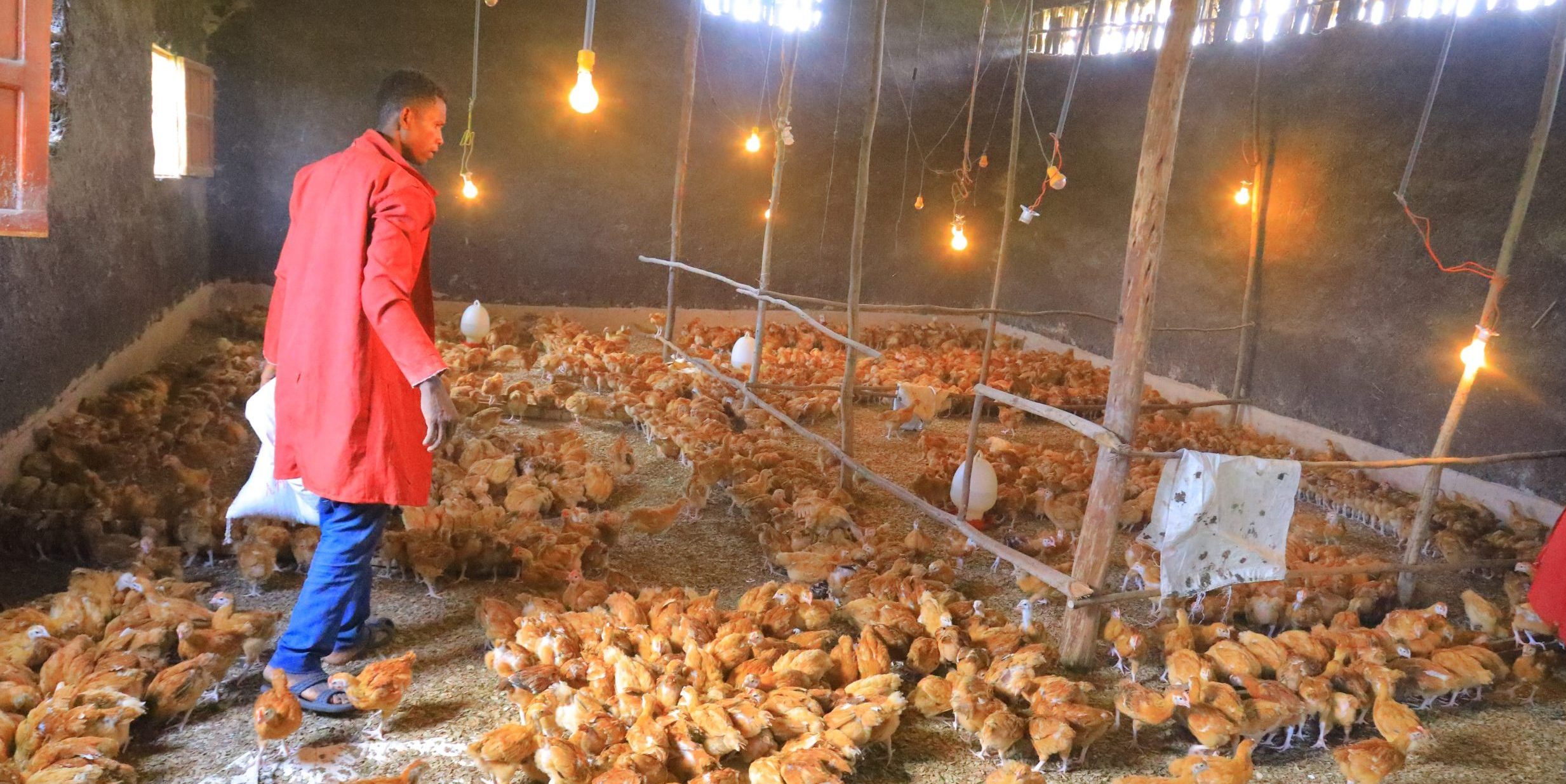 Youth In Action: Laying An Enterprising Path