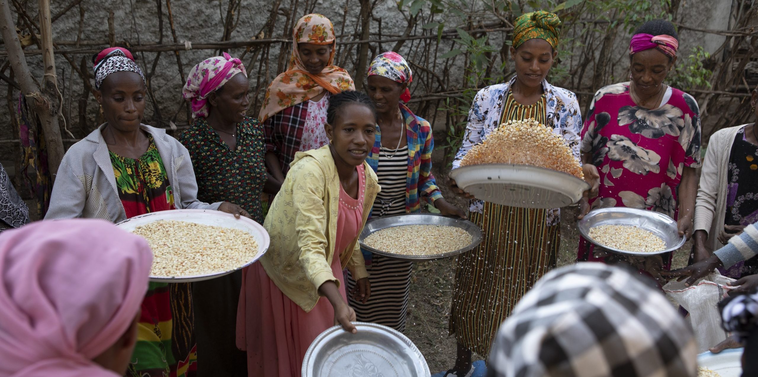 Closure of the Strait of Hormuz Intensifies Global Food Insecurity Risks