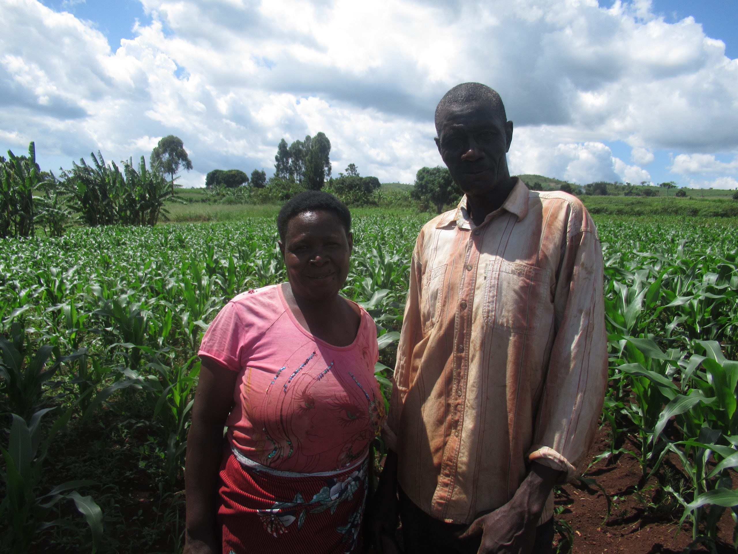 Farmers in Uganda