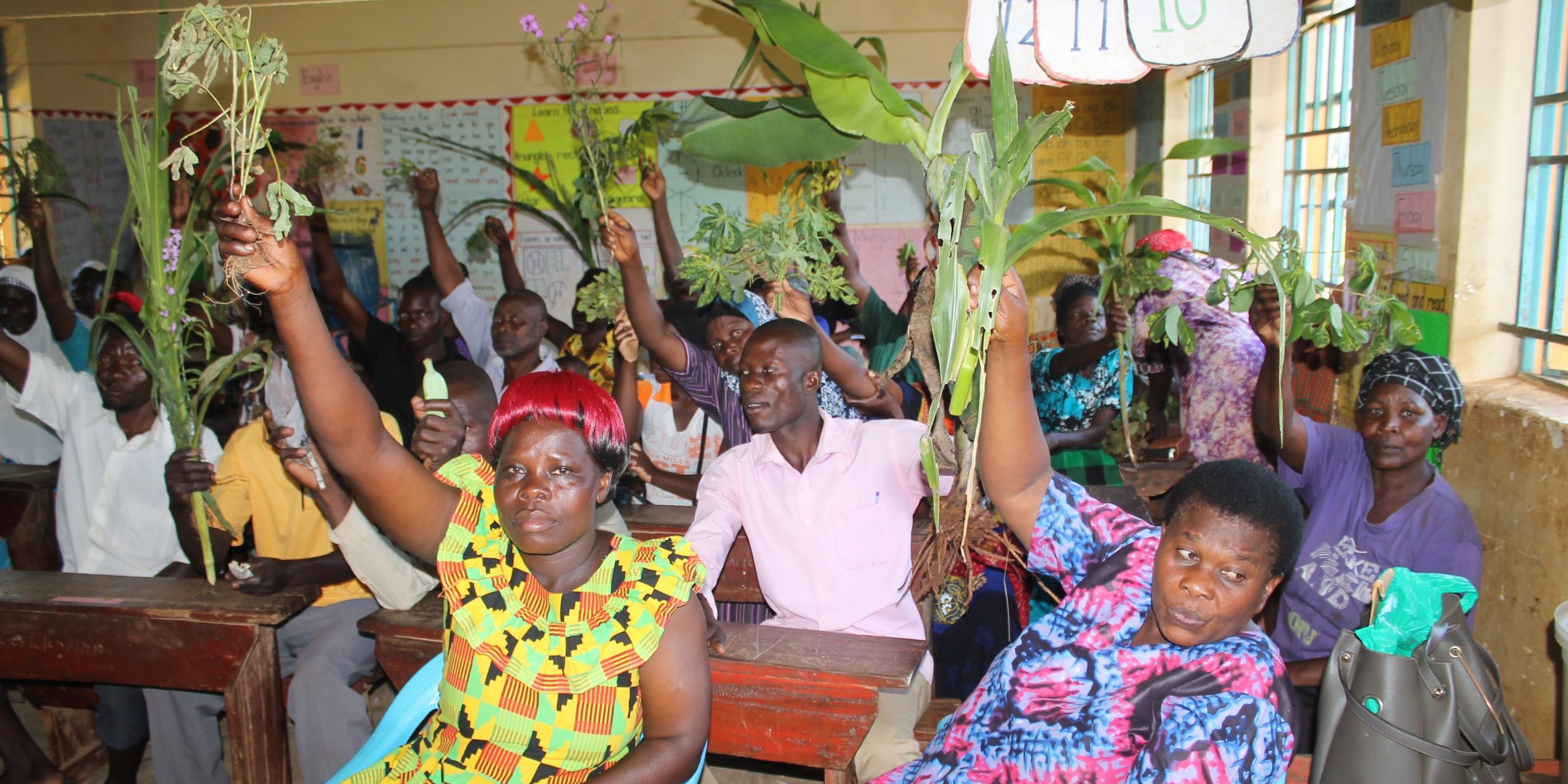 Rooted In Knowledge-Sharing: Impacts Keep Branching Out