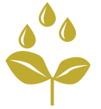 icon-irrigation
