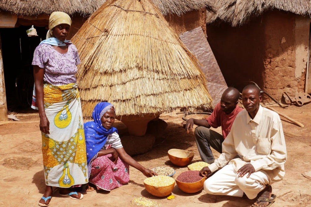 traditional-mud-and-thatch-structure-seed-storage